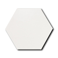Scale Hexagon White