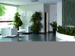 Luxury 0