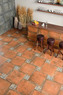 Cotto Multicolor 60x60 0