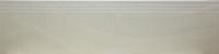Ступень AS10 COLPPA 30x120 с подступенником 15x120