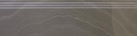 Ступень AS20 COLPPA 30x120 с подступенником 15x120