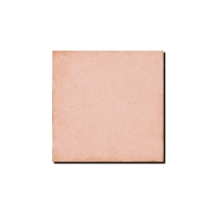 Art Nouveau Coral Pink 20x20