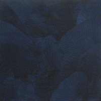 Erantis blue pg 02 45x45