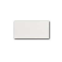 Evolution Blanco Brillo 7,5x15