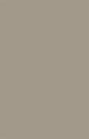 Слеб Slab Grey 120x180x2 см