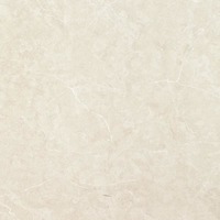 PSA 6003 60x60