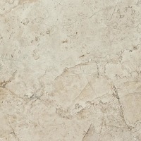 PSA 6034A 60x60
