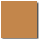 Ochre Yellow RAL 0706040