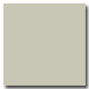 Light Khaki RAL 1007010