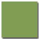 Green RAL 1105050