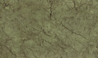 Rotterdam green wall 02 30x50 см